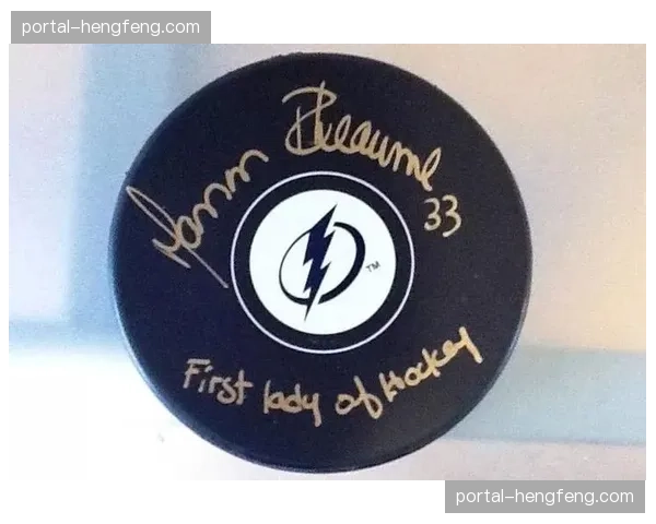 加拿大国家冰球名人堂公布2026年候选名单